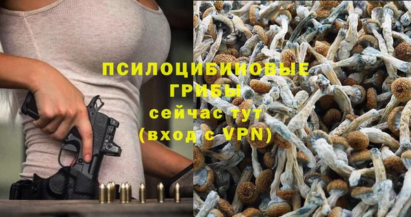 твердый Алексин