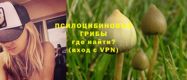 трава Алзамай