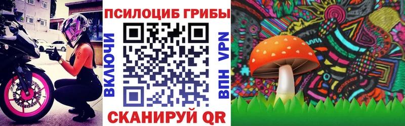 Купить где  Таганрог  Псилоцибиновые грибы MAGIC MUSHROOMS 