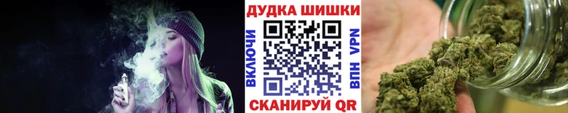 Бошки Шишки планчик  Купить  Таганрог 